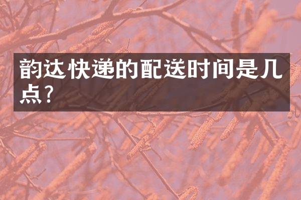 韵达快递的配送时间是几点？