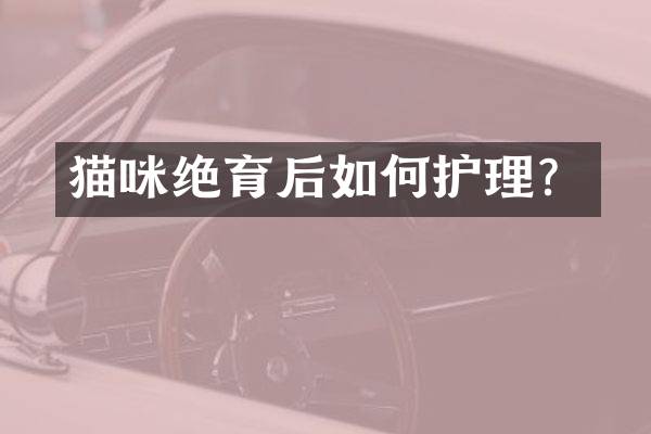 猫咪绝育后如何护理？