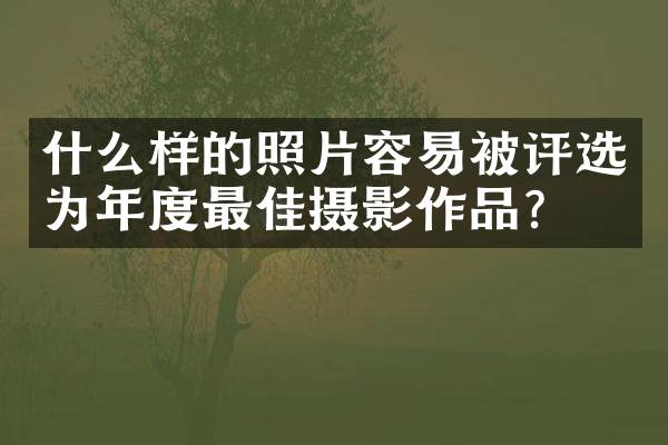 什么样的照片容易被评选为年度最佳摄影作品？