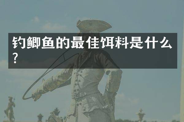 钓鲫鱼的最佳饵料是什么？