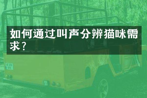 如何通过叫声分辨猫咪需求？