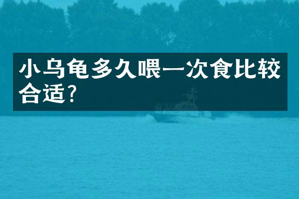 小乌龟多久喂一次食比较合适？