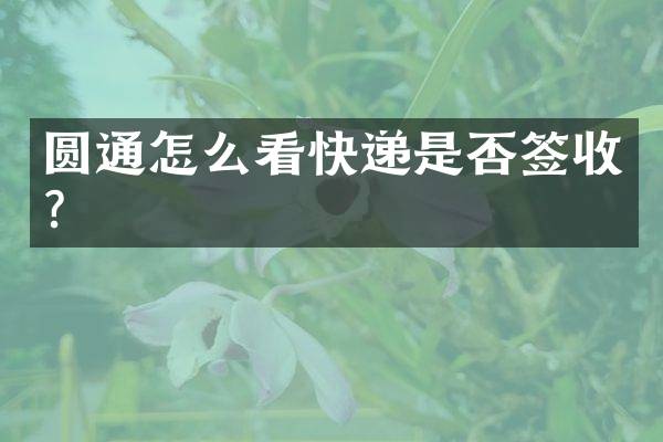 圆通怎么看快递是否签收？