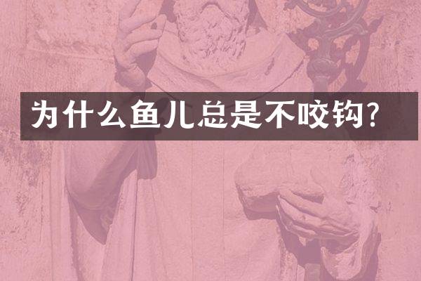 为什么鱼儿总是不咬钩？