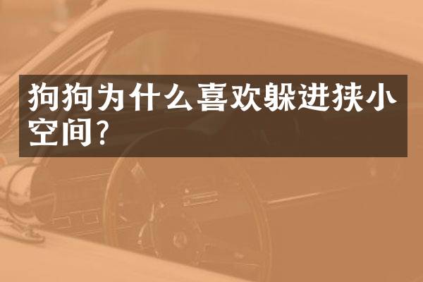 狗狗为什么喜欢躲进狭小空间？