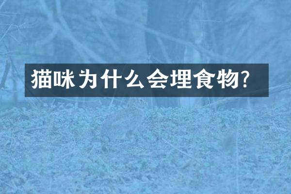 猫咪为什么会埋食物？