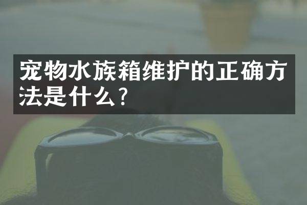 宠物水族箱维护的正确方法是什么？