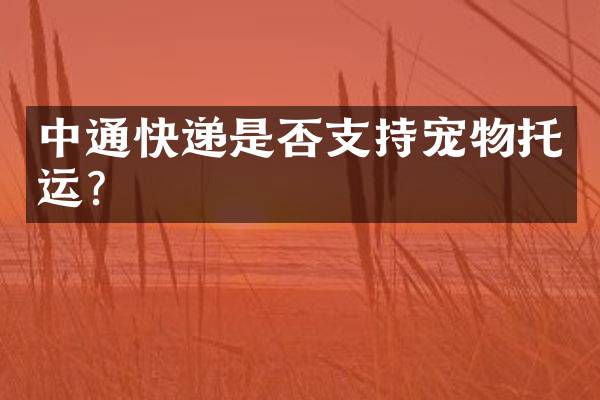 中通快递是否支持宠物托运？