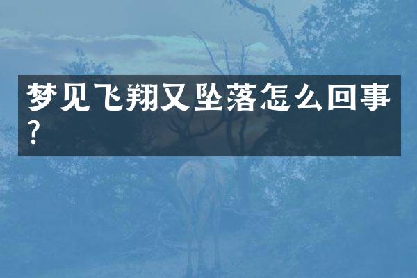 梦见飞翔又坠落怎么回事？