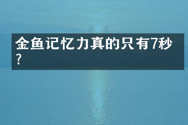 金鱼记忆力真的只有7秒吗？