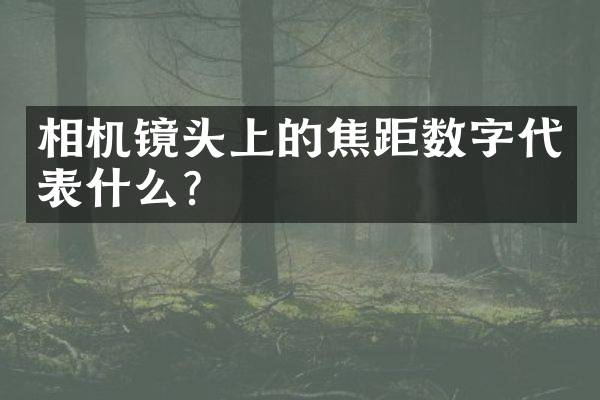 相机镜头上的焦距数字代表什么？