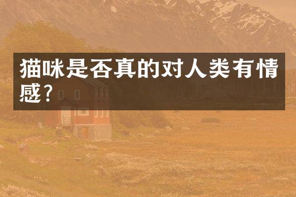 猫咪是否真的对人类有情感？