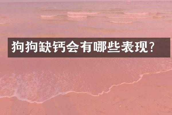 狗狗缺钙会有哪些表现？