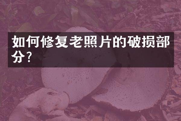 如何修复老照片的破损部分？