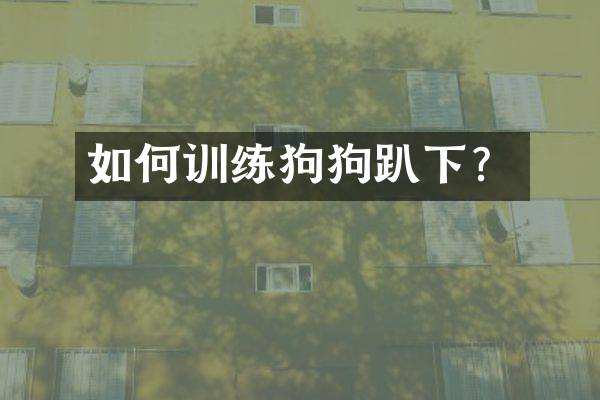 如何训练狗狗趴下？