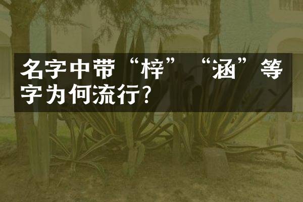 名字中带“梓”“涵”等字为何流行？