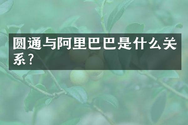 圆通与阿里巴巴是什么关系？