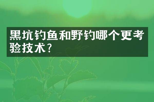 黑坑钓鱼和野钓哪个更考验技术？