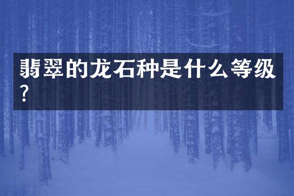 翡翠的龙石种是什么等级？