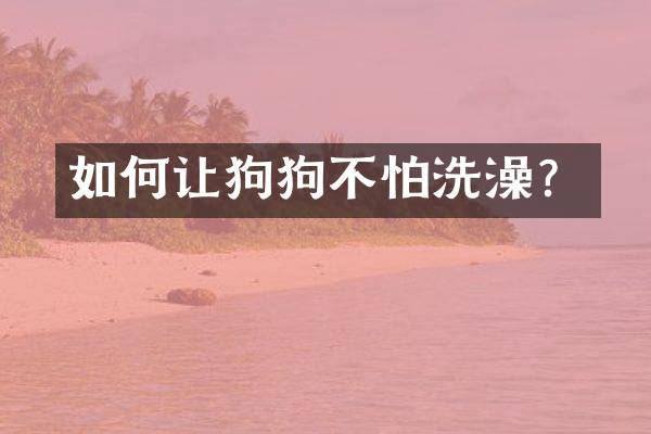 如何让狗狗不怕洗澡？