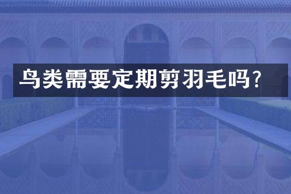 鸟类需要定期剪羽毛吗？