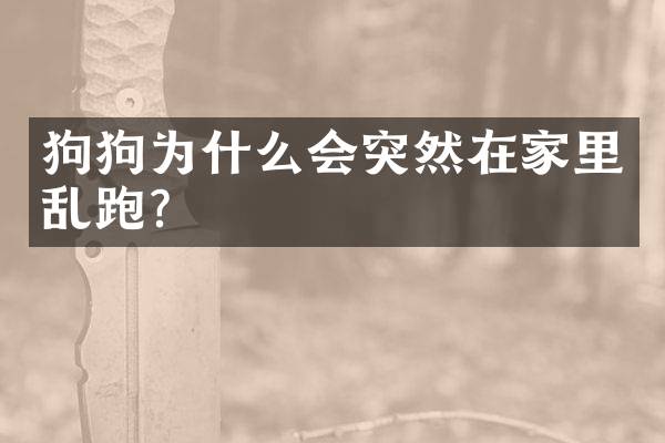 狗狗为什么会突然在家里乱跑？