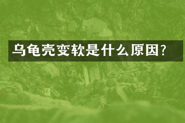 乌龟壳变软是什么原因？