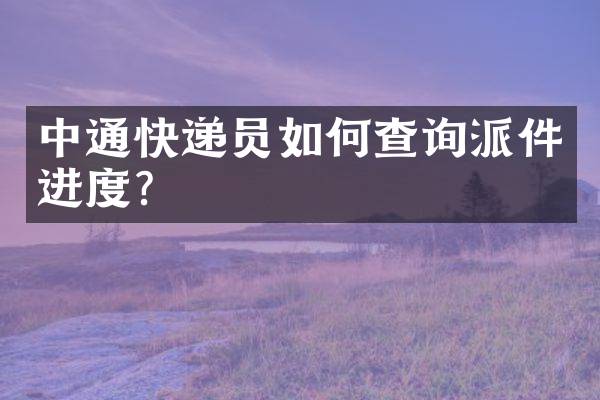 中通快递员如何查询派件进度？