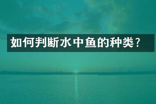如何判断水中鱼的种类？