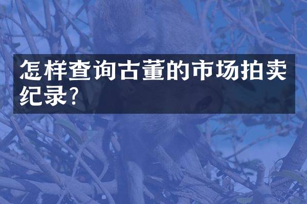 怎样查询古董的市场拍卖纪录？