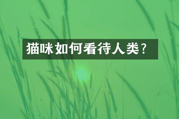 猫咪如何看待人类？