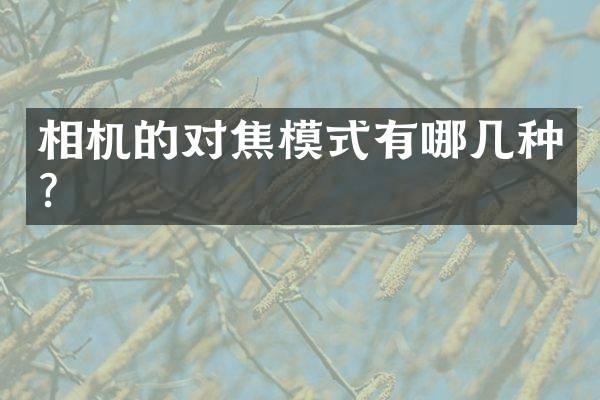 相机的对焦模式有哪几种？