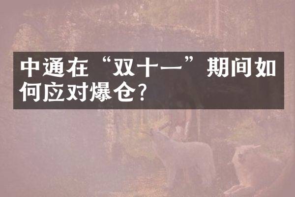 中通在“双十一”期间如何应对爆仓？
