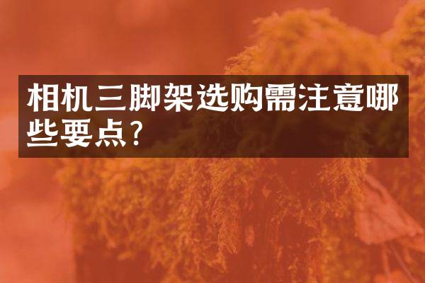 相机三脚架选购需注意哪些要点？