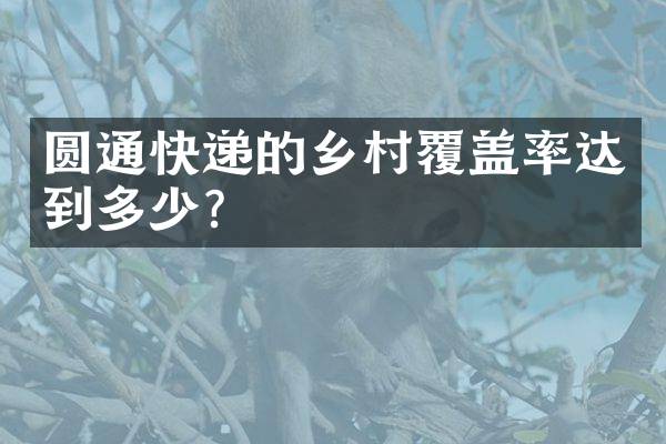圆通快递的乡村覆盖率达到多少？