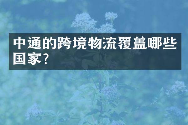 中通的跨境物流覆盖哪些国家？