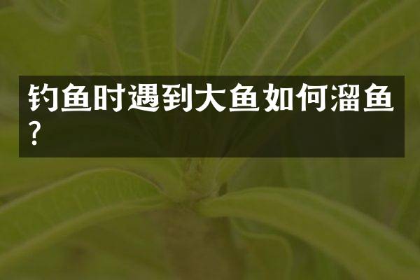 钓鱼时遇到大鱼如何溜鱼？