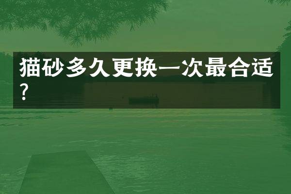 猫砂多久更换一次最合适？