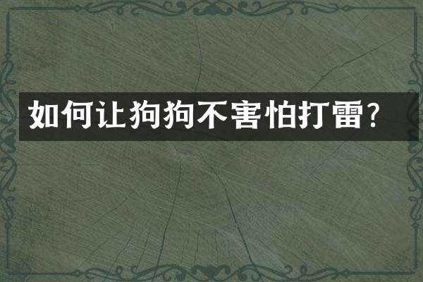 如何让狗狗不害怕打雷？