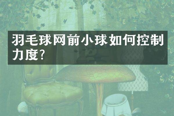 羽毛球网前小球如何控制力度？