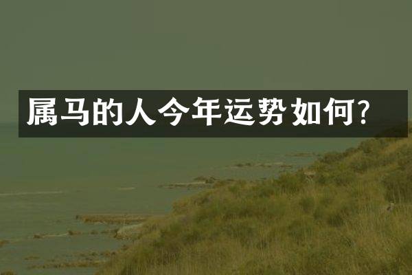 属马的人今年运势如何？