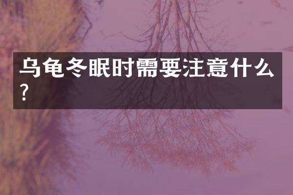 乌龟冬眠时需要注意什么？