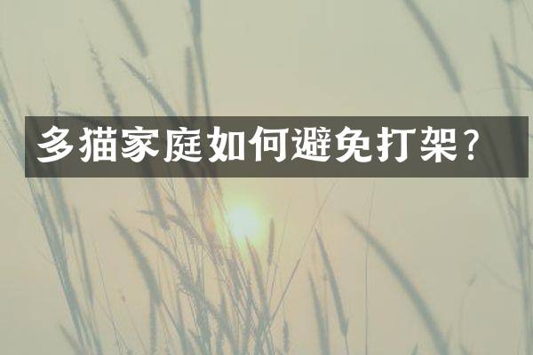 多猫家庭如何避免打架？