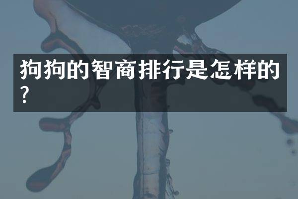 狗狗的智商排行是怎样的？