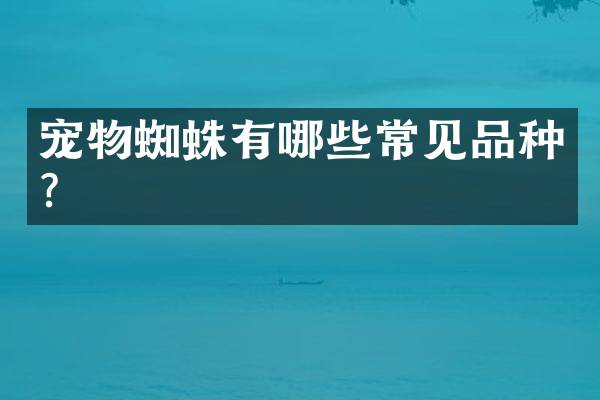 宠物蜘蛛有哪些常见品种？