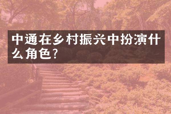 中通在乡村振兴中扮演什么角色？