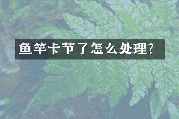 鱼竿卡节了怎么处理？