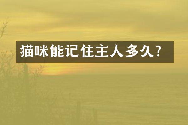猫咪能记住主人多久？