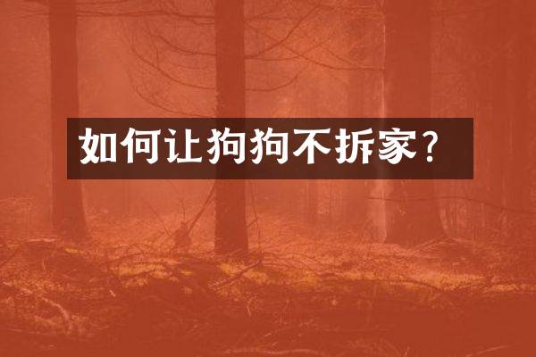 如何让狗狗不拆家？