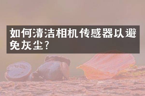 如何清洁相机传感器以避免灰尘？
